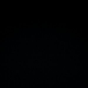 Meet your Posher, Sandy